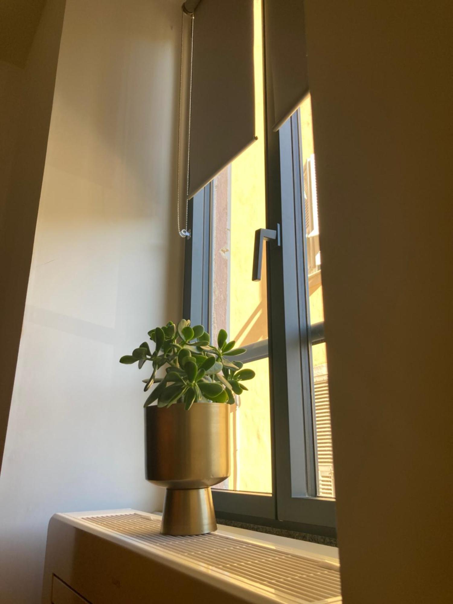 Studio Spacieux Tout Confort Cite Imperiale Ajaccio  Ngoại thất bức ảnh